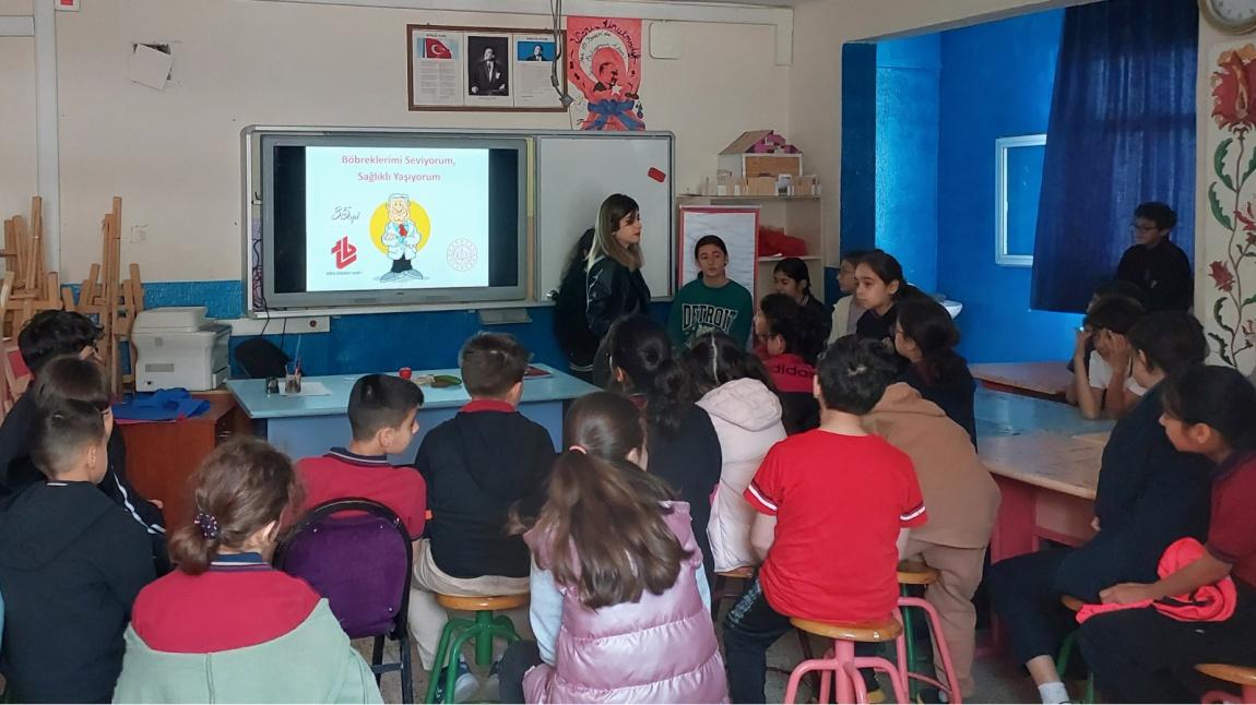 Türk Böbrek Vakfı Eğitimi